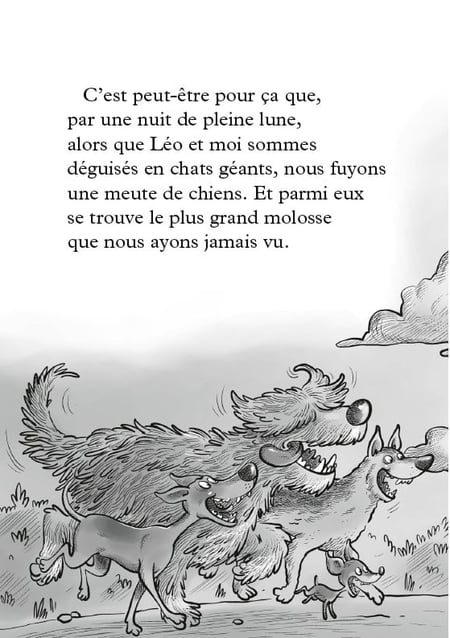 media/pim/12069864_1qt8xm3m_10_9d6f8