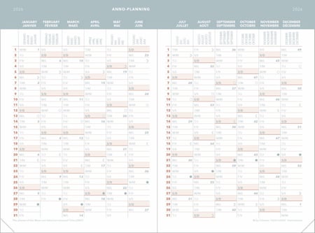 Agenda 2023 Semainier: Planificateur Et Organiseur Hebdomadaire Sur 12