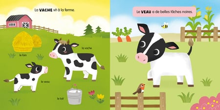 media/pim/12132397_1mpqap3w_3_ba1da