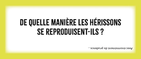 media/pim/12206768_cb0r4m3r_6_5e79d
