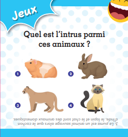 media/pim/12206823_image_type_product_shot_FOUR_non_TRANSCODE_1_FR_3ffbe