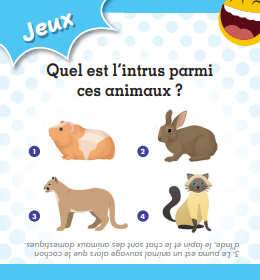 media/pim/12206825_image_type_product_shot_FOUR_non_TRANSCODE_1_FR_97ee1