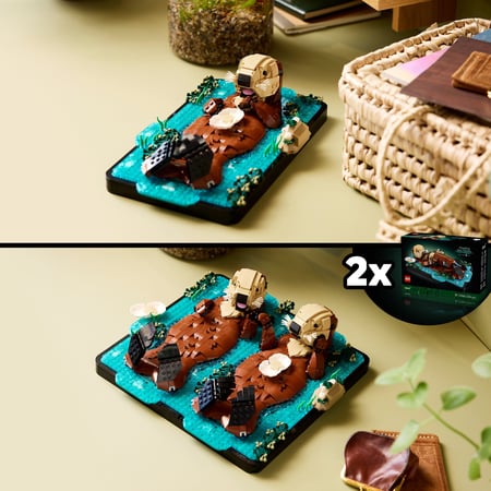 media/pim/12488535_1rvy6mm4_3