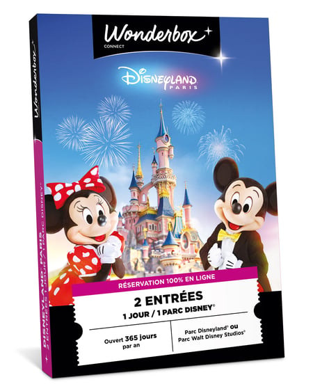 Coffret cadeau Wonderbox - Disneyland Paris - 2 personnes