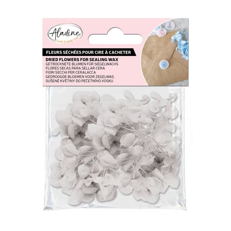 Fleurs séchées Aladine - Blanches - 1,5 g 