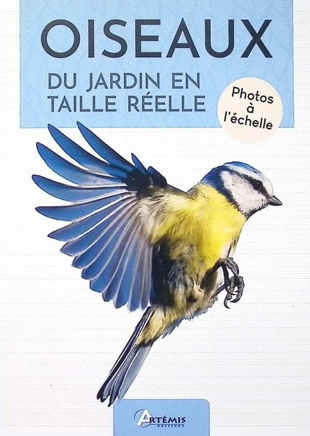 media/pim/12779347_ot9coe7e_1