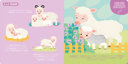 media/pim/12831869_1tygot37_2_89ebe