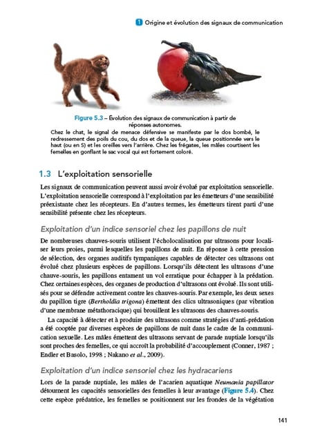 media/pim/12855339_1bl6b8ri_9_45845