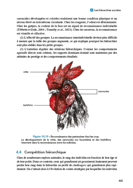 media/pim/12855339_f3d55pch_13_4d4b1