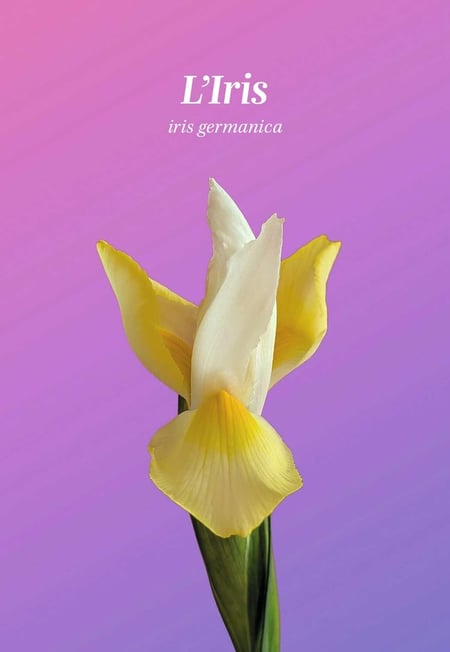 media/pim/12866843_10474780