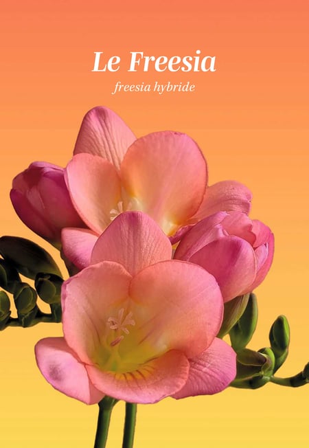 media/pim/12866843_16ikmjrm_6_f05fc