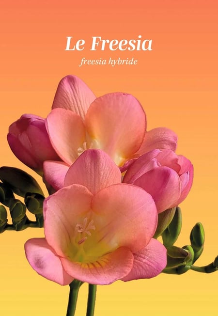 media/pim/12866843_20992097