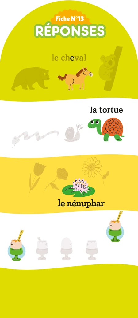 media/pim/12910762_1c9l1yei_8_c5660
