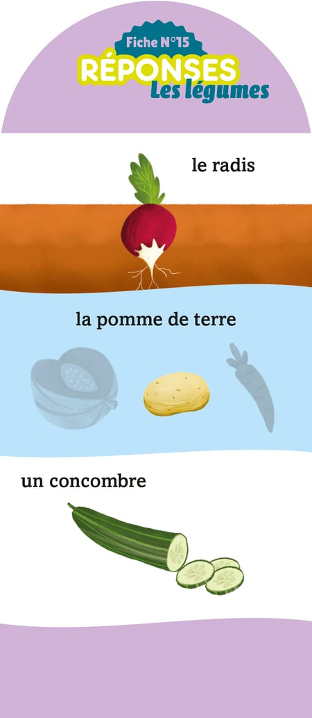 media/pim/12911143_zz6iv6v2_6_1d611