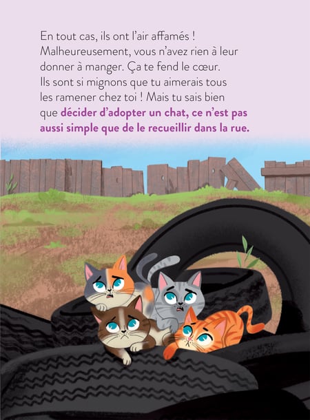 media/pim/12911160_l04gcyi3_7_9e361