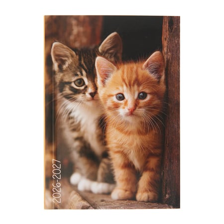 Agenda journalier 2026/2027 - Chat - 12 x 17 cm- Cultura