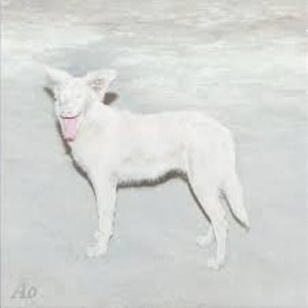 Malandra