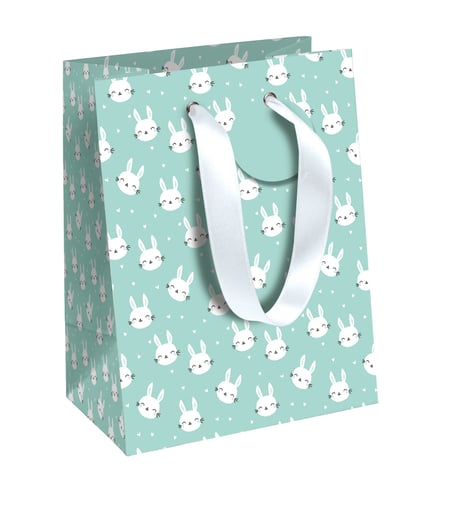 Sac cadeau Clairefontaine - 21,5 x 10,2 x 25,3 cm