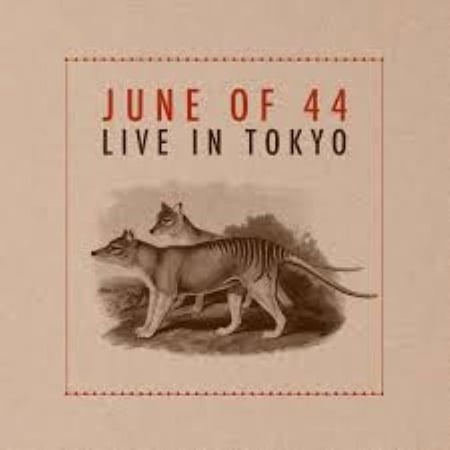Live In Tokyo