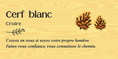 media/pim/12981698_26426913