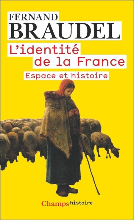 L'identité de la france Tome 1 : Espace et histoire