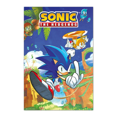Poster Grupo Erik - Sonic Sonic & Tails