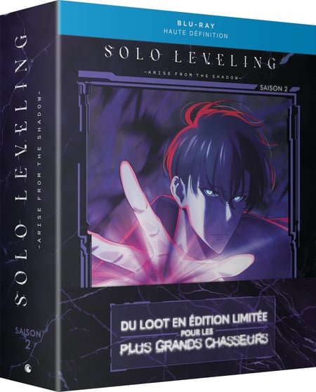 Solo Leveling - Saison 2