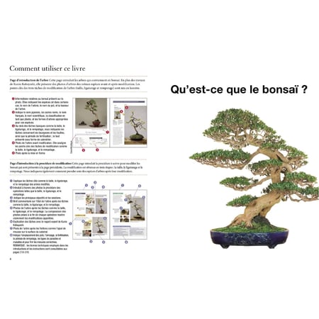 media/pim/12991167_x81twjqc_4_9688b