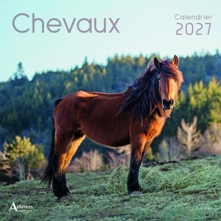 Calendrier chevaux (édition 2027)
