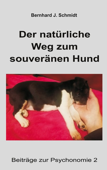 media/pim/12_metadata-image-66053290.jpeg