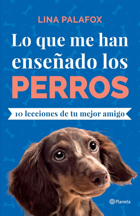 media/pim/12_metadata-image-66227956.jpeg