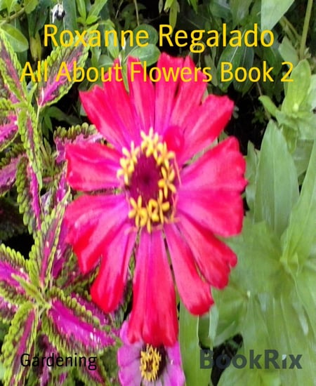 media/pim/12_standalone-image-1768197.jpg