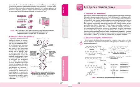 media/pim/13011089_1bpkk9xs_10_a3fe9