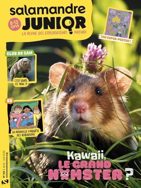 Salamandre junior n°165 : AVRIL 2026