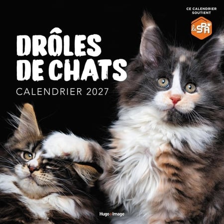 Calendrier mural Drôles de chats 2027