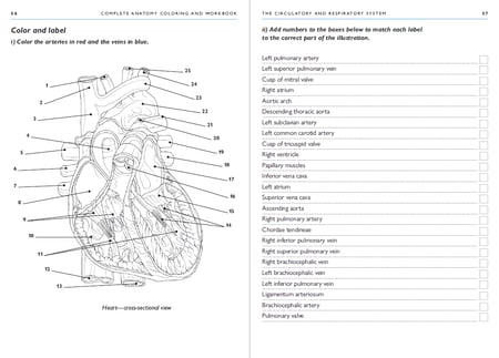 media/pim/13026474_1mjeixor_4_f8a77