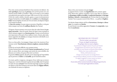 media/pim/13033587_kbzu4wd4_7_63afd