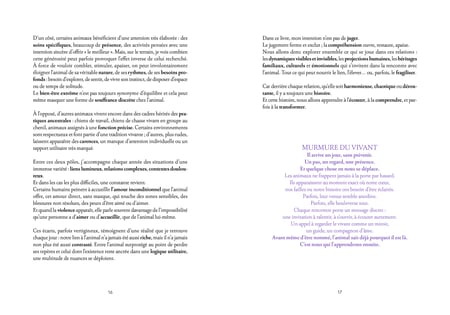 media/pim/13033587_kbzu4wd4_7_b4e6f
