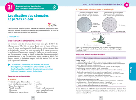 media/pim/13052678_3d7pg7c4_4_9f07a