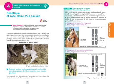 media/pim/13052678_3eccf9nc_3_e2f52