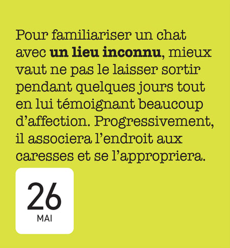 media/pim/13052712_651bm0dl_5_11725