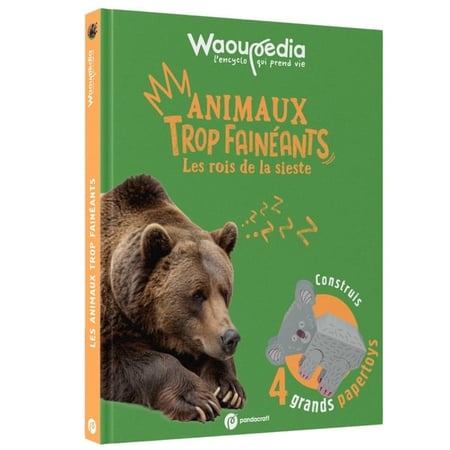 Waoupédia : Les rois de la sieste, animaux trop fainéants