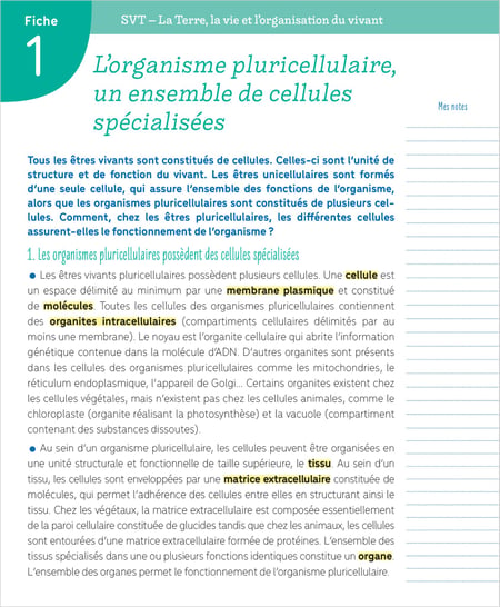 media/pim/13053693_jl198quz_5_e38f6