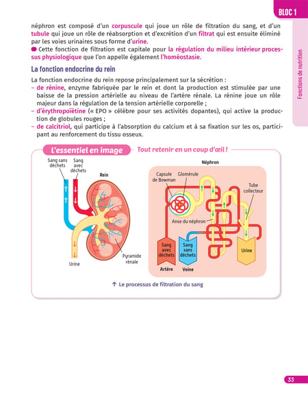 media/pim/13059623_178vb0po_12_cafd8