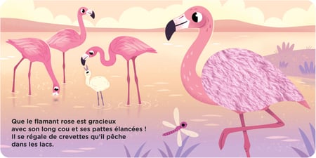 media/pim/13059733_63n8zvvh_2_6485b
