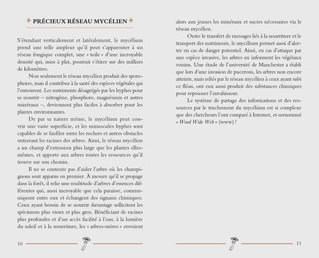 media/pim/13082171_1qwl99e3_7_1c626