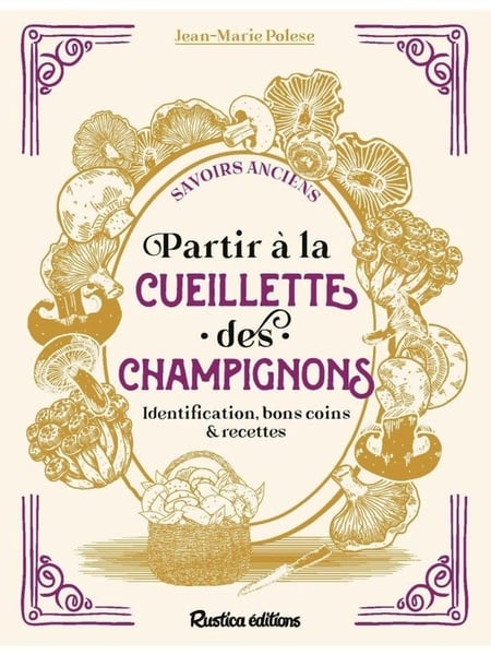 Partir à la cueillette des champignons
