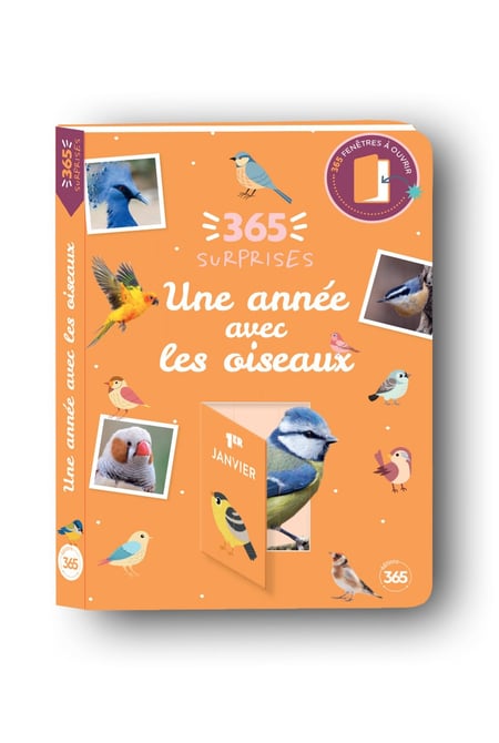 365 surprises : Une année avec les oiseaux