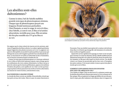 media/pim/13095884_8dn6s3d7_3_709e6