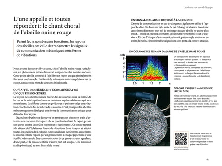 media/pim/13095884_uq3tjcbe_6_6e038